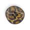 Dritz® 28mm Cheetah Recycled Leather Buttons, 6ct.